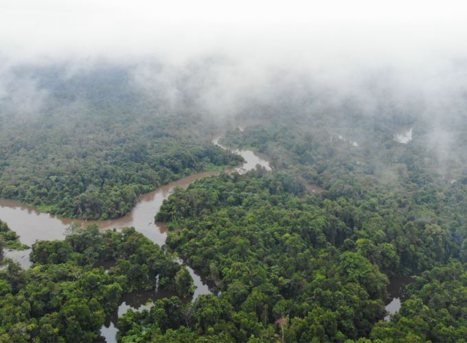 Menjaga Papua, Memelihara Ekosistem Dunia