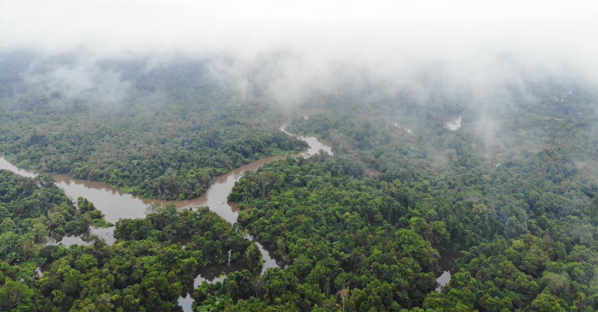 Menjaga Papua, Memelihara Ekosistem Dunia